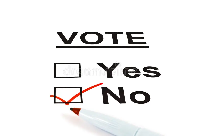 SmartVote election experience
